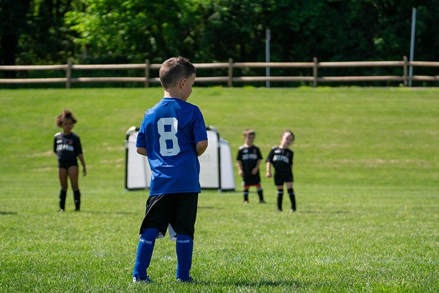 出的努力却 出的努力却