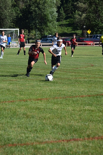 金能力的俱 金能力的俱