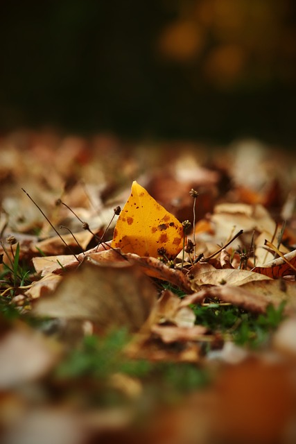 与此同时 与此同时