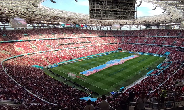 業生涯的巔 業生涯的巔